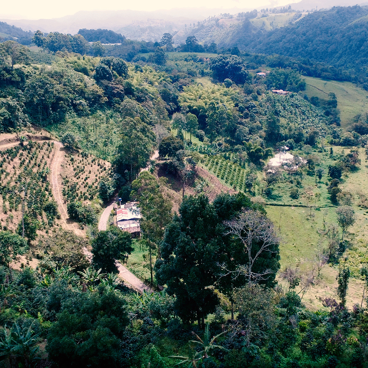Universidad del Quindío
